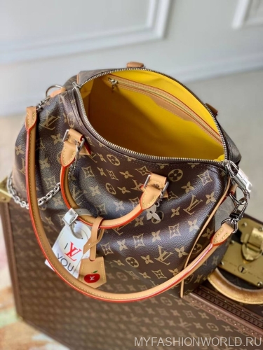 Сумка Louis Vuitton Speedy Soft 30 Crafty