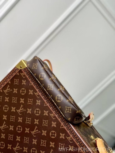 Сумка Louis Vuitton Pochette Accessoires