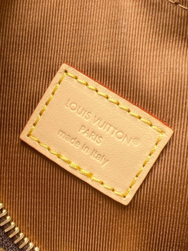 Сумка Louis Vuitton Amazona Multipass Mini