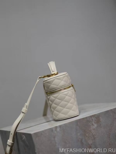 Сумка Saint Laurent GABY MINI 