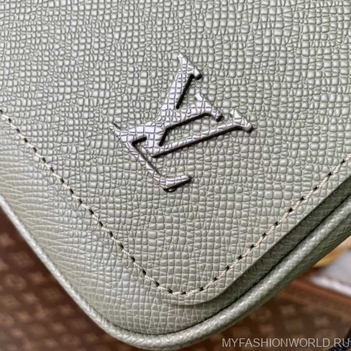 Сумка Louis Vuitton District PM