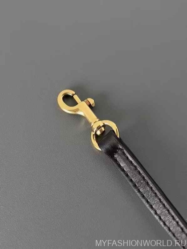 Сумка Balenciaga Rodeo Sling Pochette