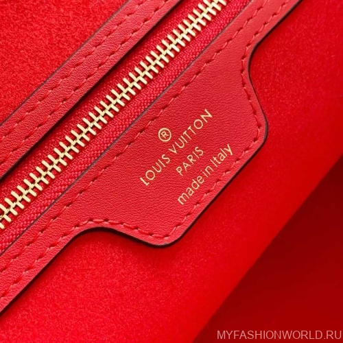 Сумка Louis Vuitton Neverfull MM