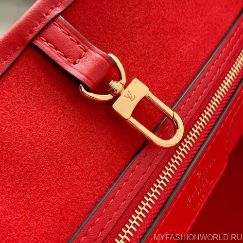 Сумка Louis Vuitton Neverfull MM
