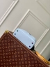Сумка Louis Vuitton Capucines Arty Mini