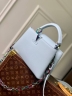 Сумка Louis Vuitton Capucines Arty Small