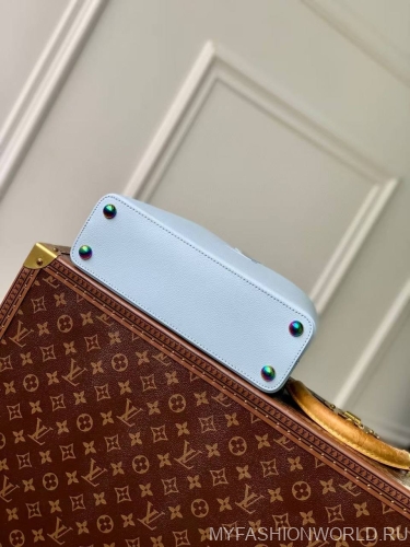 Сумка Louis Vuitton Capucines Arty Small