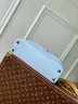 Сумка Louis Vuitton Capucines Arty Medium