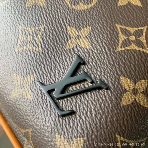 Сумка Louis Vuitton Avenue