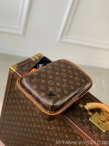 Сумка Louis Vuitton Avenue