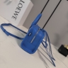 Сумка Loewe Amazona mini blue