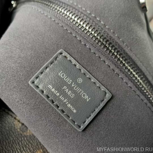 Сумка Louis Vuitton CarryAll Vibe