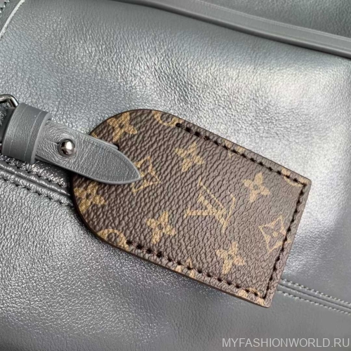 Сумка Louis Vuitton CarryAll Vibe