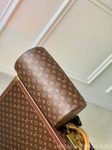 Сумка Louis Vuitton Soft Polochon medium