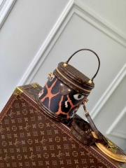 Сумка Cannes Autres Toiles Monogram
