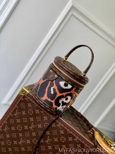 Сумка Cannes Autres Toiles Monogram