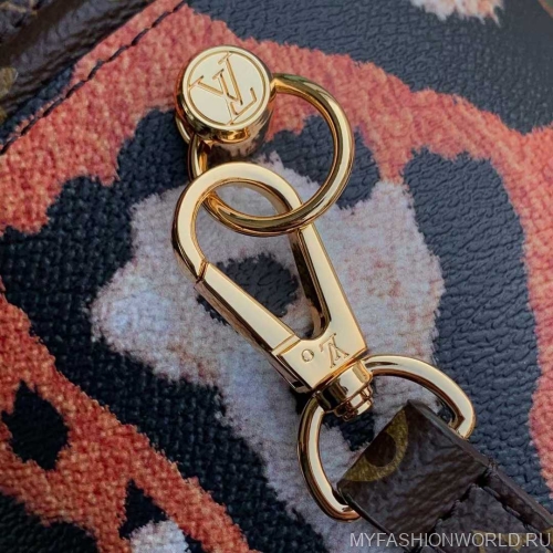 Сумка Cannes Autres Toiles Monogram