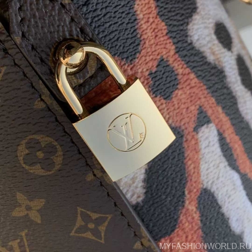 Сумка Cannes Autres Toiles Monogram