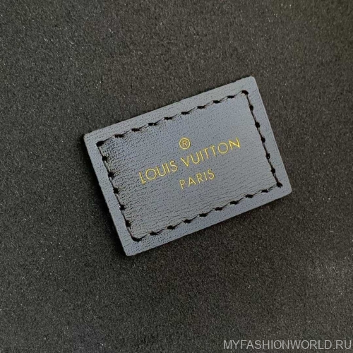 Сумка Cannes Autres Toiles Monogram