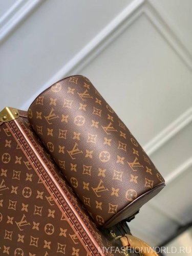 Сумка Louis Vuitton Soft Polochon small